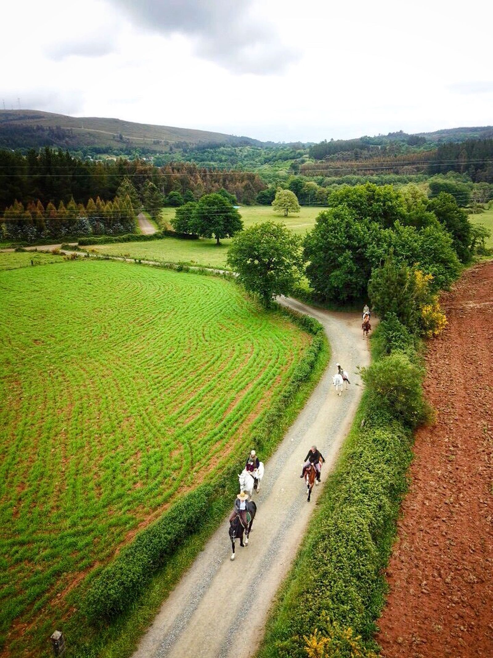 Vista de varios jinetes en un camino gallego