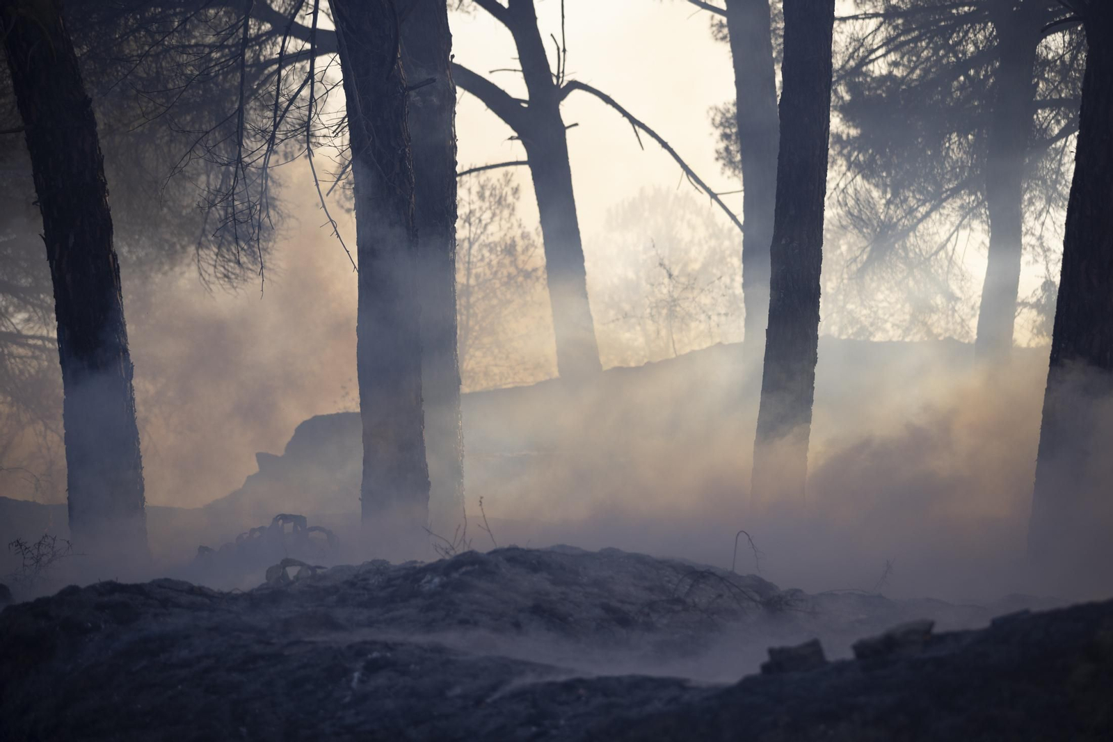 Imágenes del incendio de Bonares