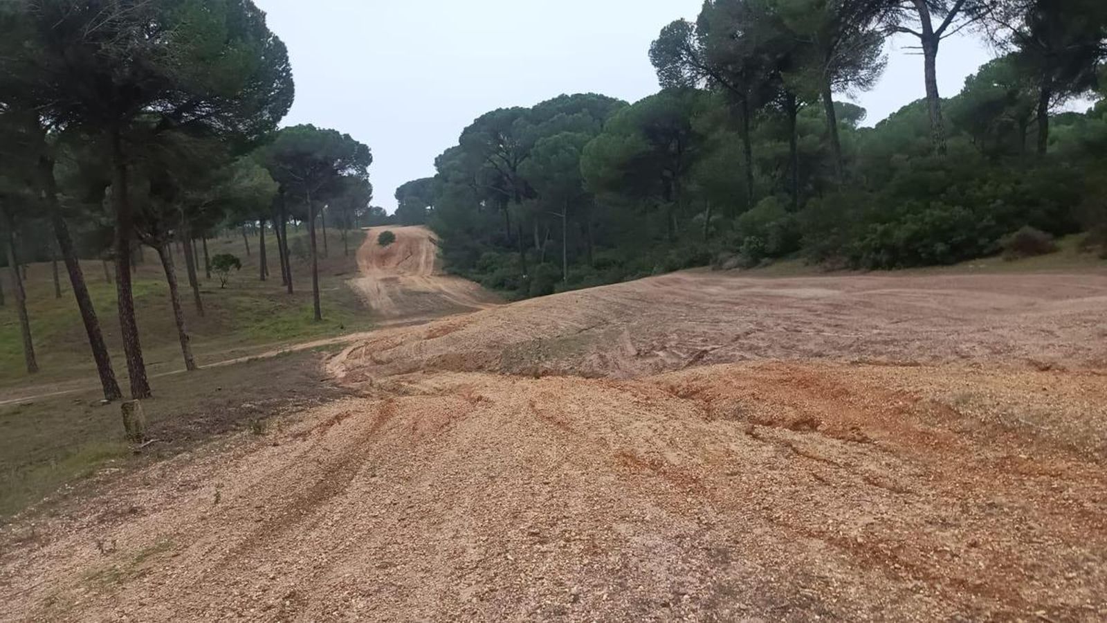 El amplio cortafuegos tras la carretera presenta muchas ondulaciones y cortas rampas.