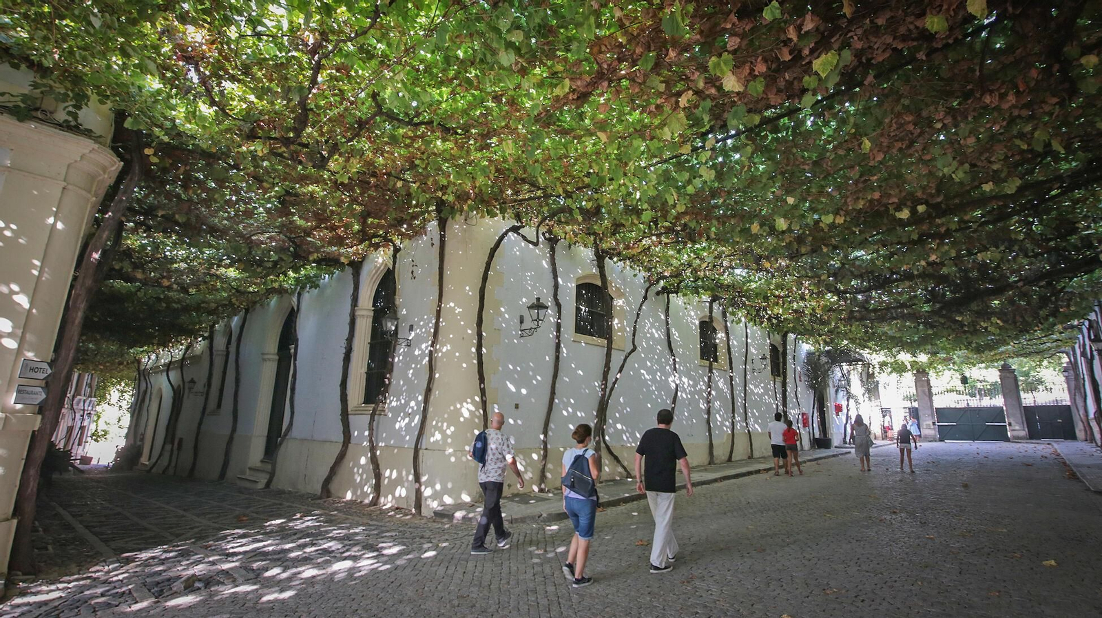 Diez sitios imprescindibles de Jerez que no debes perderte