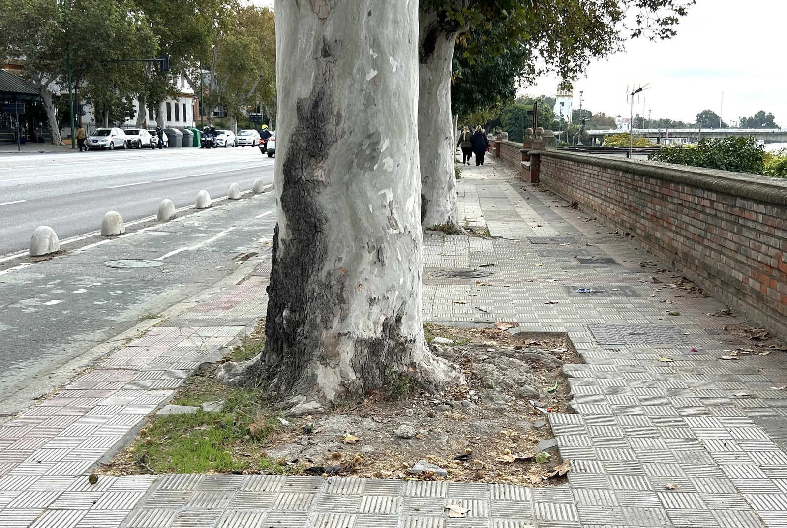 Abandono en los bancos del Paseo de las Delicias