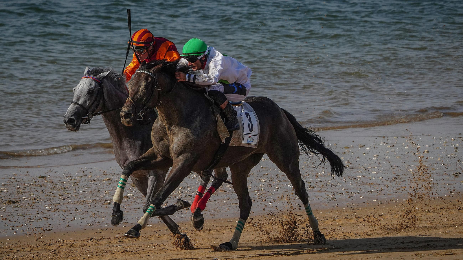 Imágenes del segundo ciclo de Carreras de Caballos de Sanlúcar