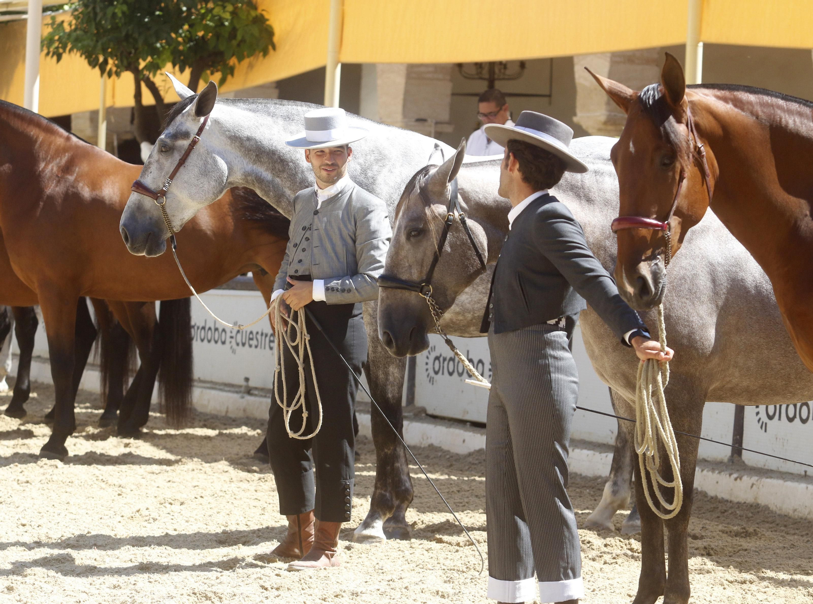 Participantes del Concurso Morfológico de Cabalcor.