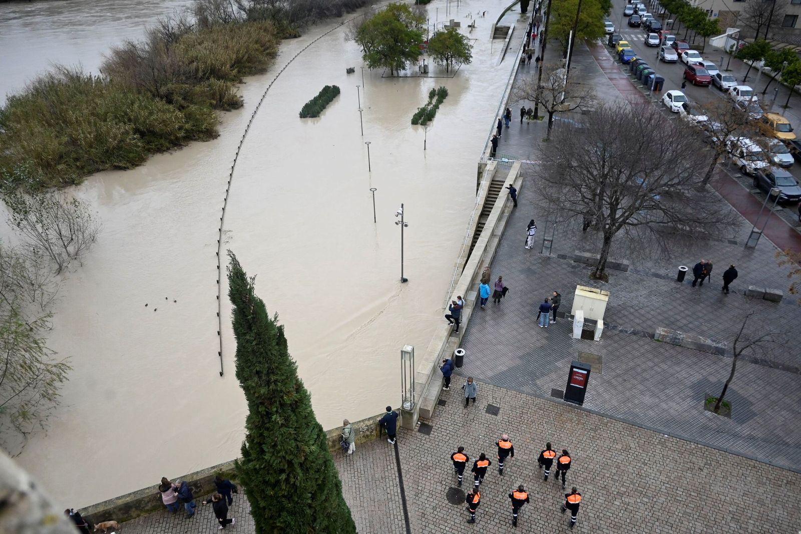 La impresionante crecida del río Guadalquivir: se acerca a los 6 metros a su paso por Córdoba