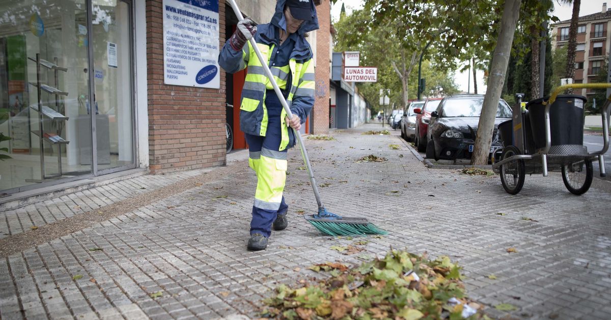 Los pliegos del nuevo contrato de limpieza y basura: tres meses para ...