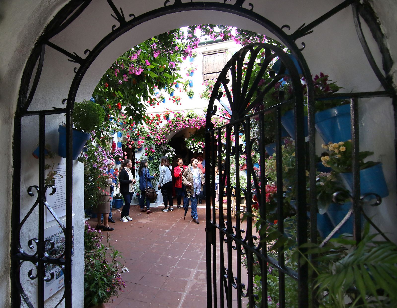 Los patios ganadores en el concurso de los Patios de Córdoba 2017