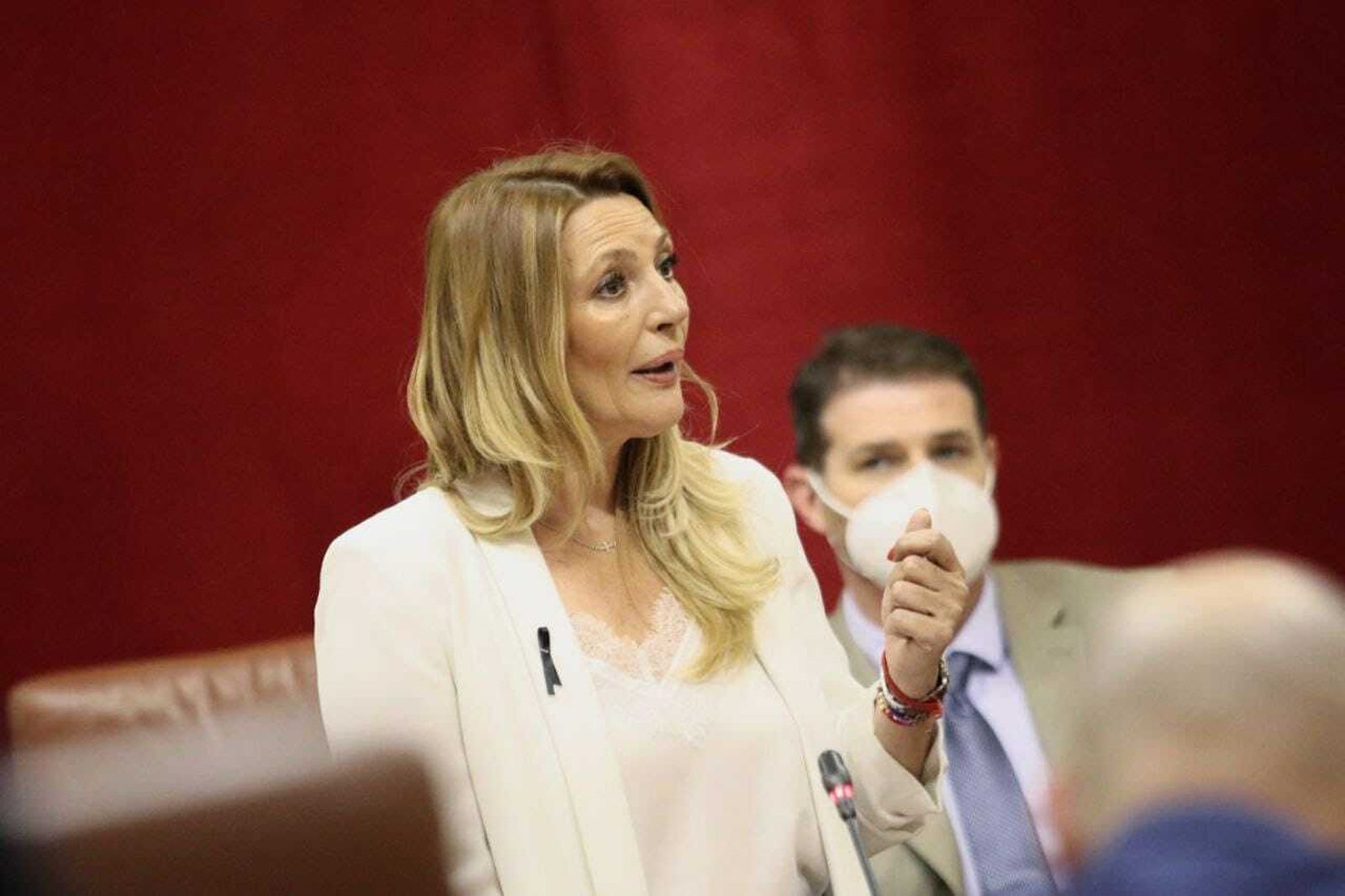 La cabeza de lista de Ciudadanos (Cs) por Granada a las elecciones andaluzas del próximo 19 de junio, Concha Insúa