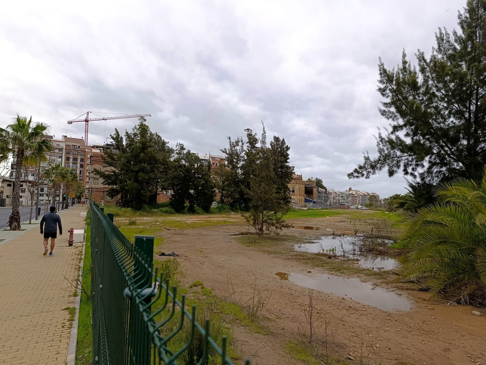 Parcela objeto de la actuación.