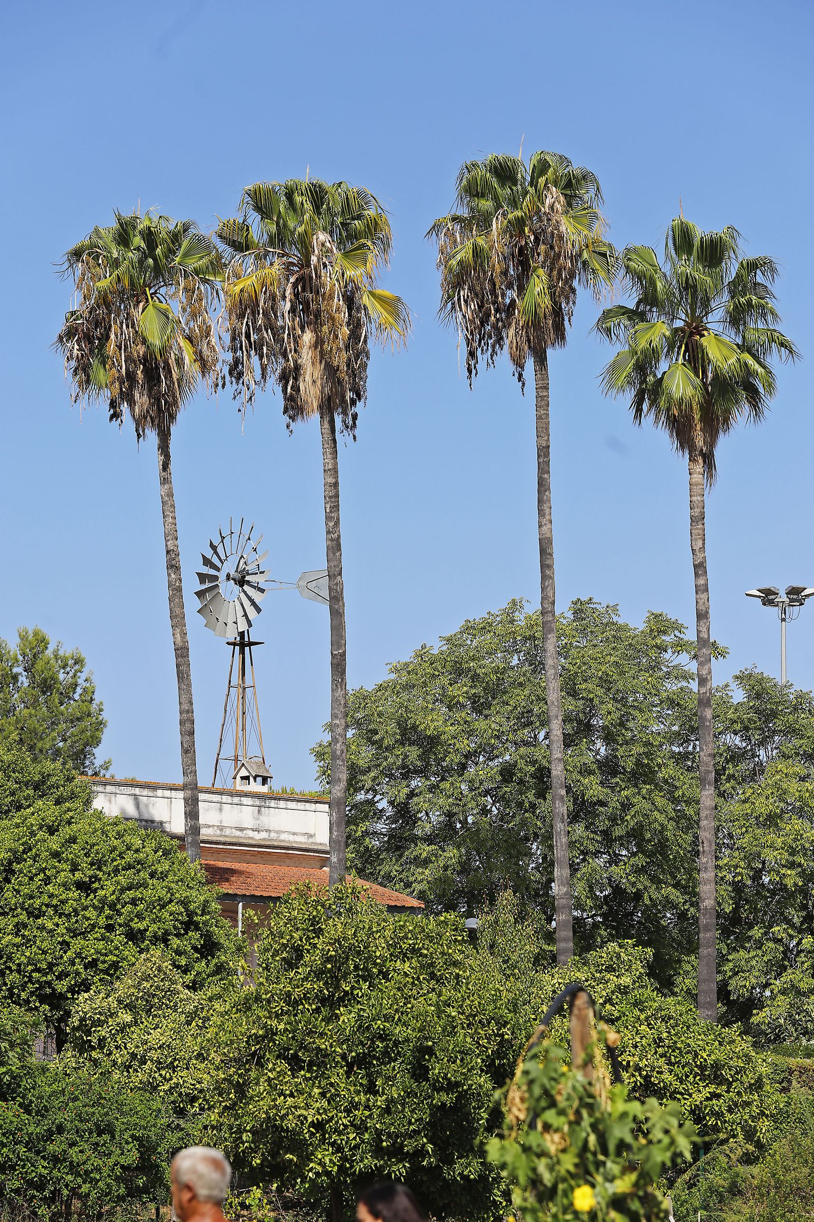 Las imágenes más destacadas del jueves 14 de septiembre en Huelva