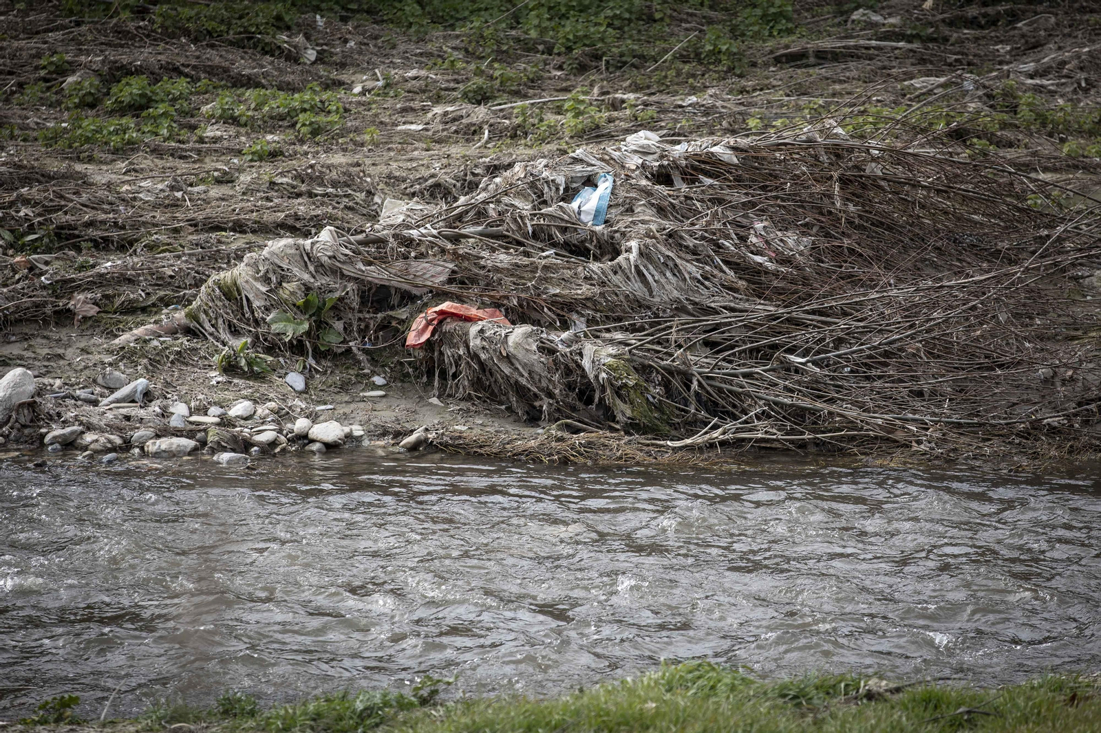 Fotos del 'cementerio' de toallitas que se acumula junto al río Genil en Granada