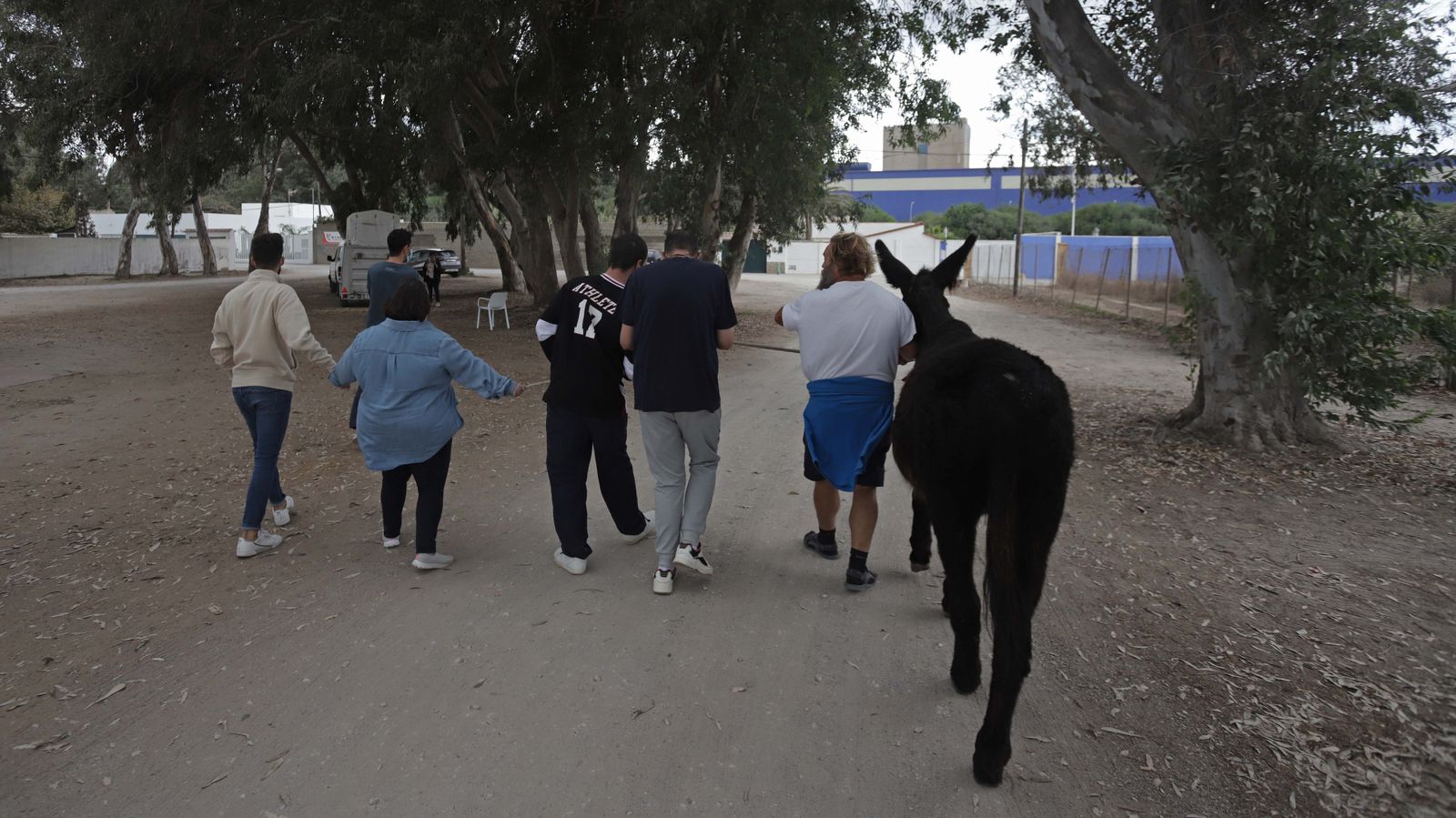Sesión  de burroterapia con usuarios de Asansull en Palmones