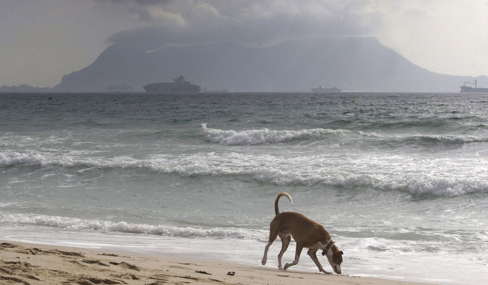 La playa algecireña de Getares en un día de temporal.
