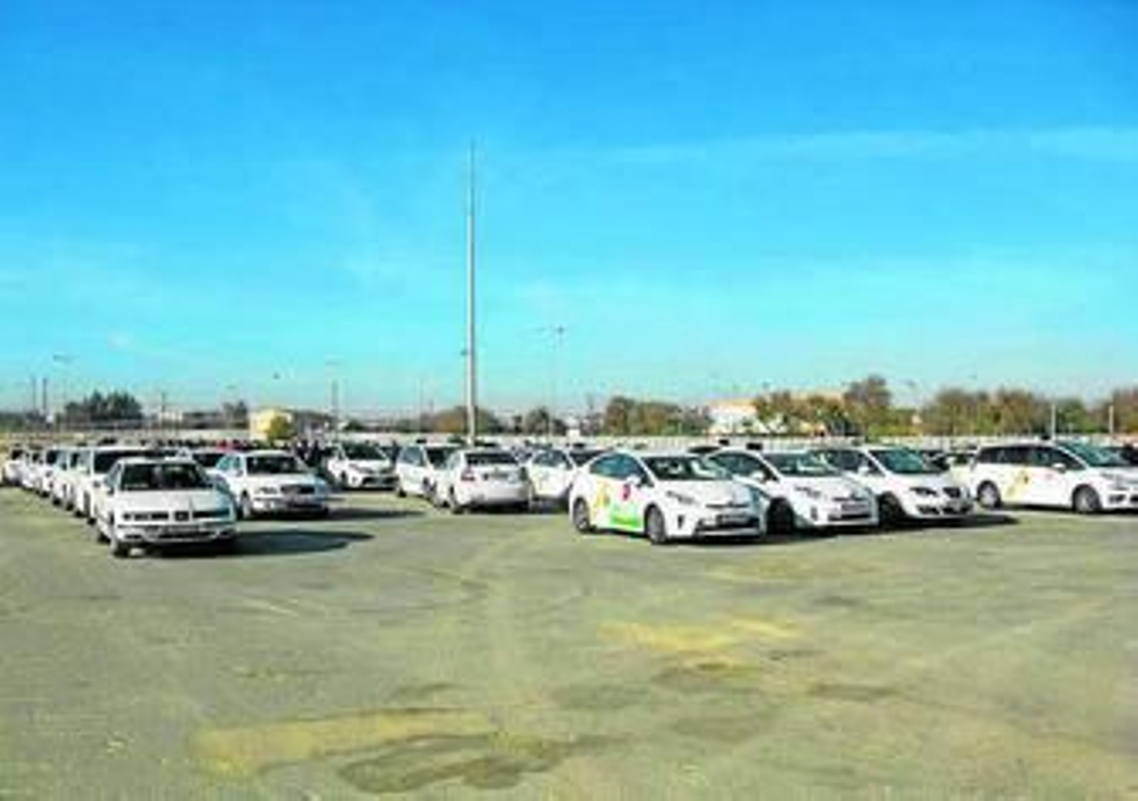 Vista de la concentración de taxistas en el solar de la Feria, ayer.