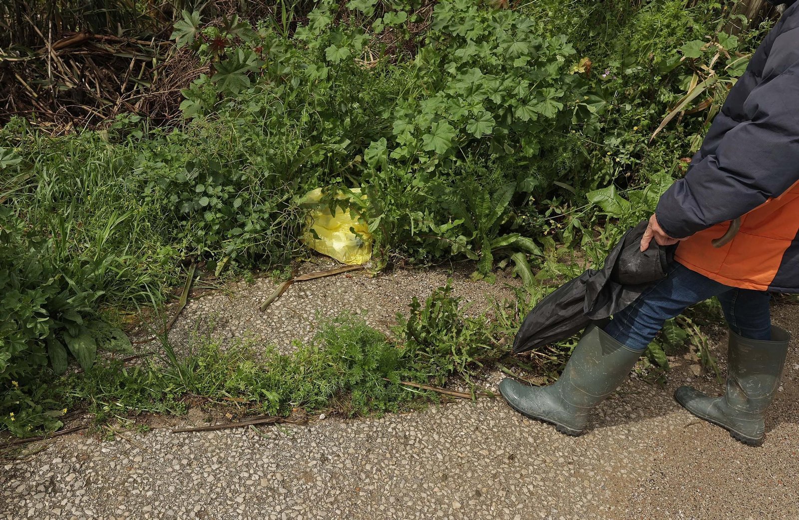 Fotos de los desperfectos e irregularidades en La Menacha