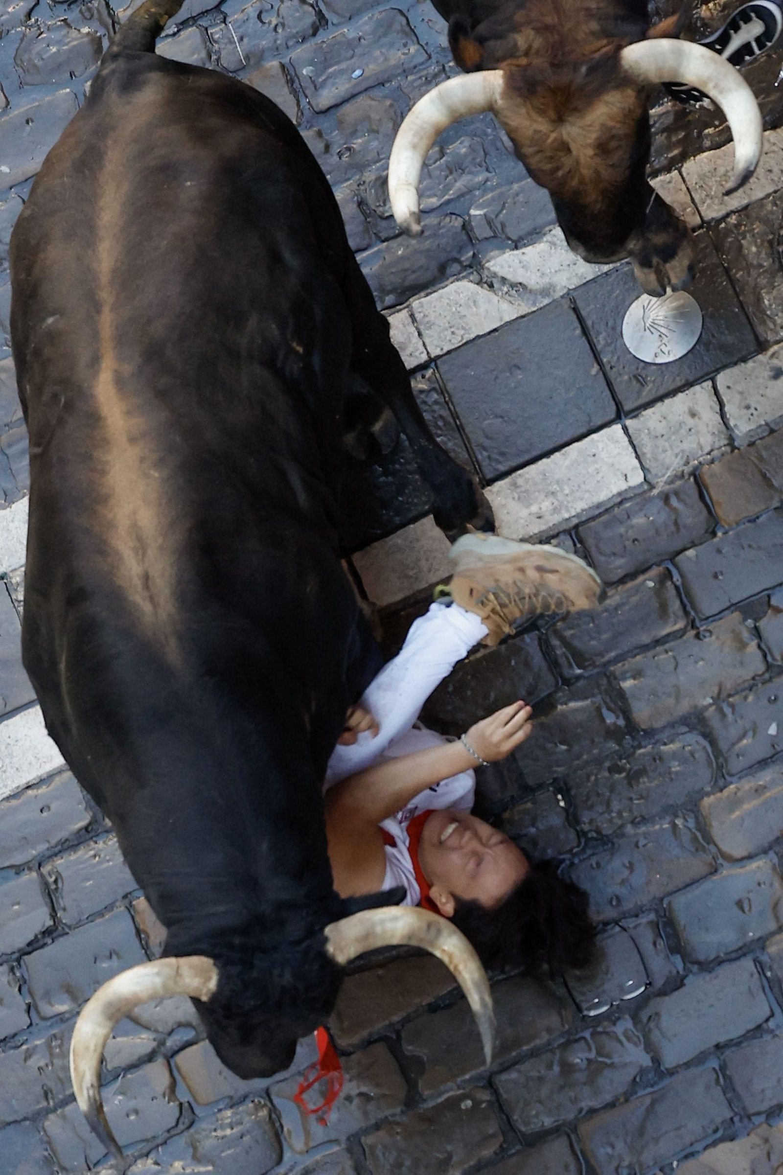 Día de San Fermín (7620185).jpg