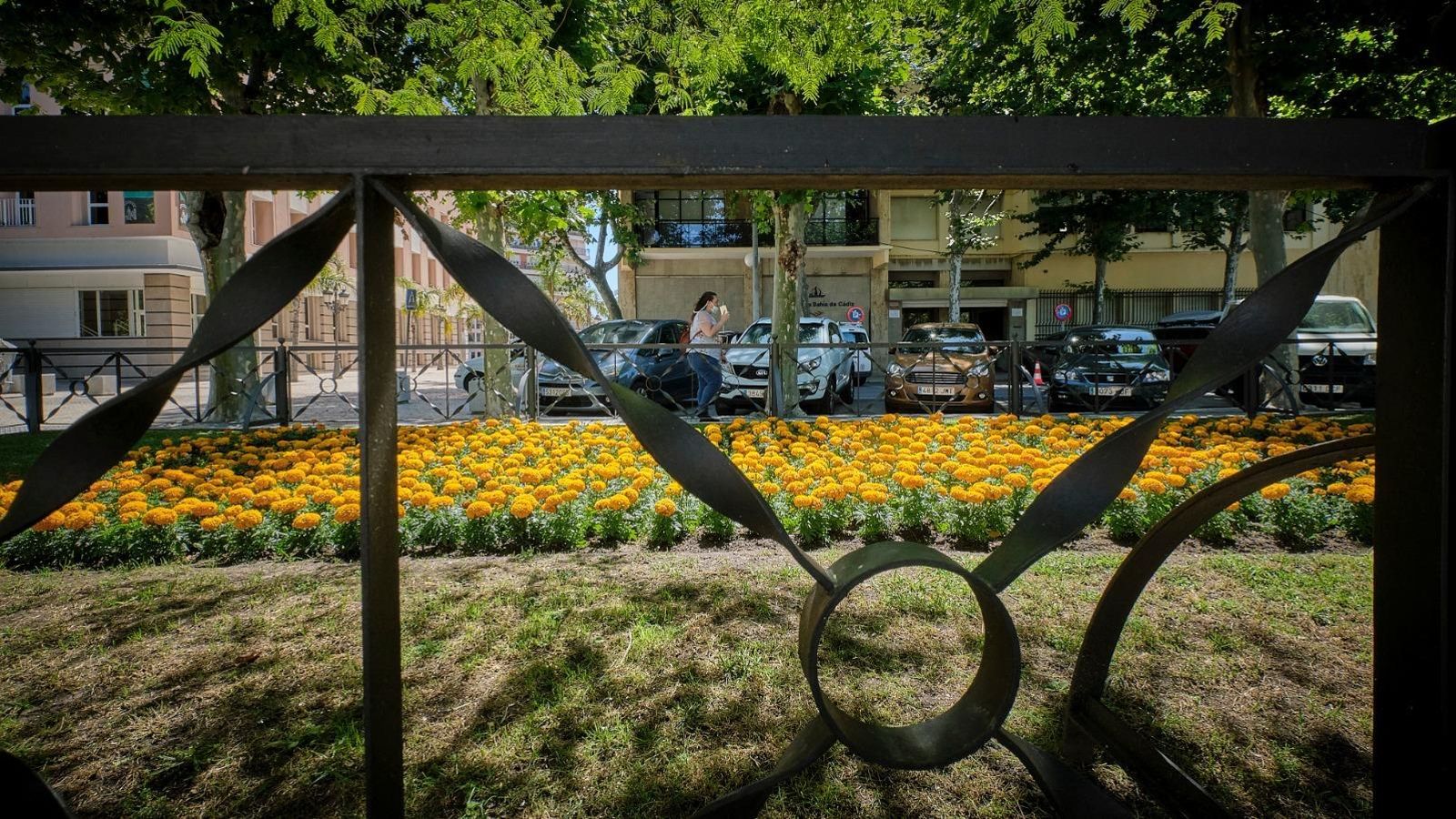 El proyecto refuerza el papel de los jardines. El proyecto refuerza el papel de los jardines.