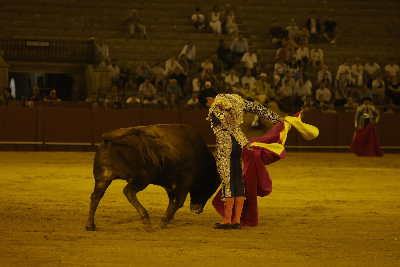Las imágenes de la novillada en la Maestranza
