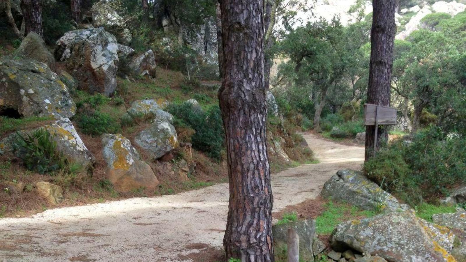 Paloma Baja y Arroyo Puerco