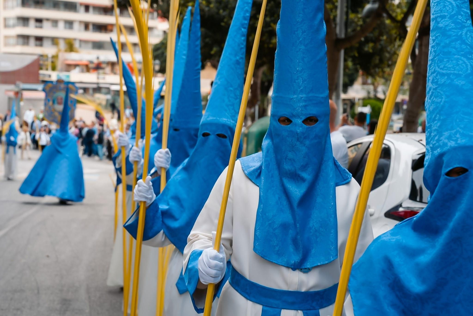La Pollinica el Domingo de Ramos en Torremolinos, en imágenes