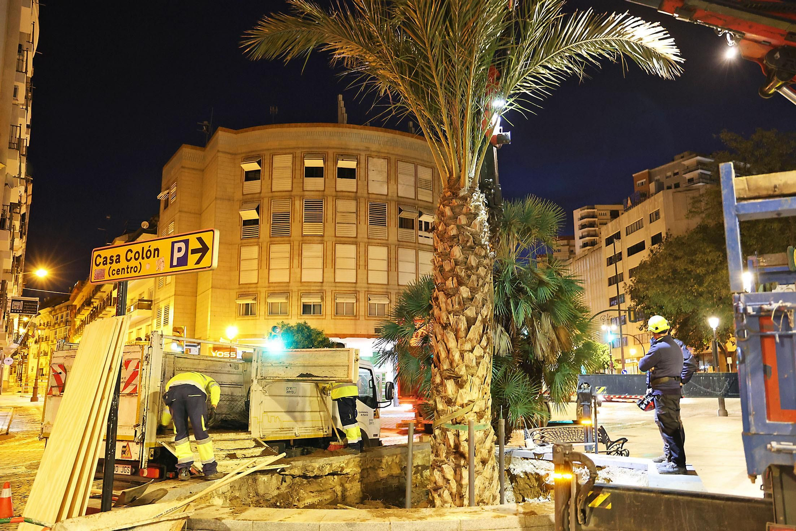 Las mejores imágenes de la plantación de la nueva palmera de Huelvaga