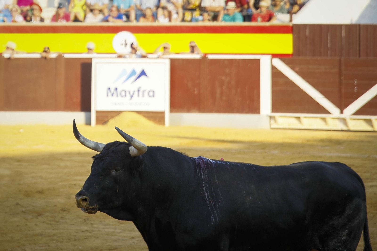 Corrida de toros Berja con un toro indultado, en imágenes