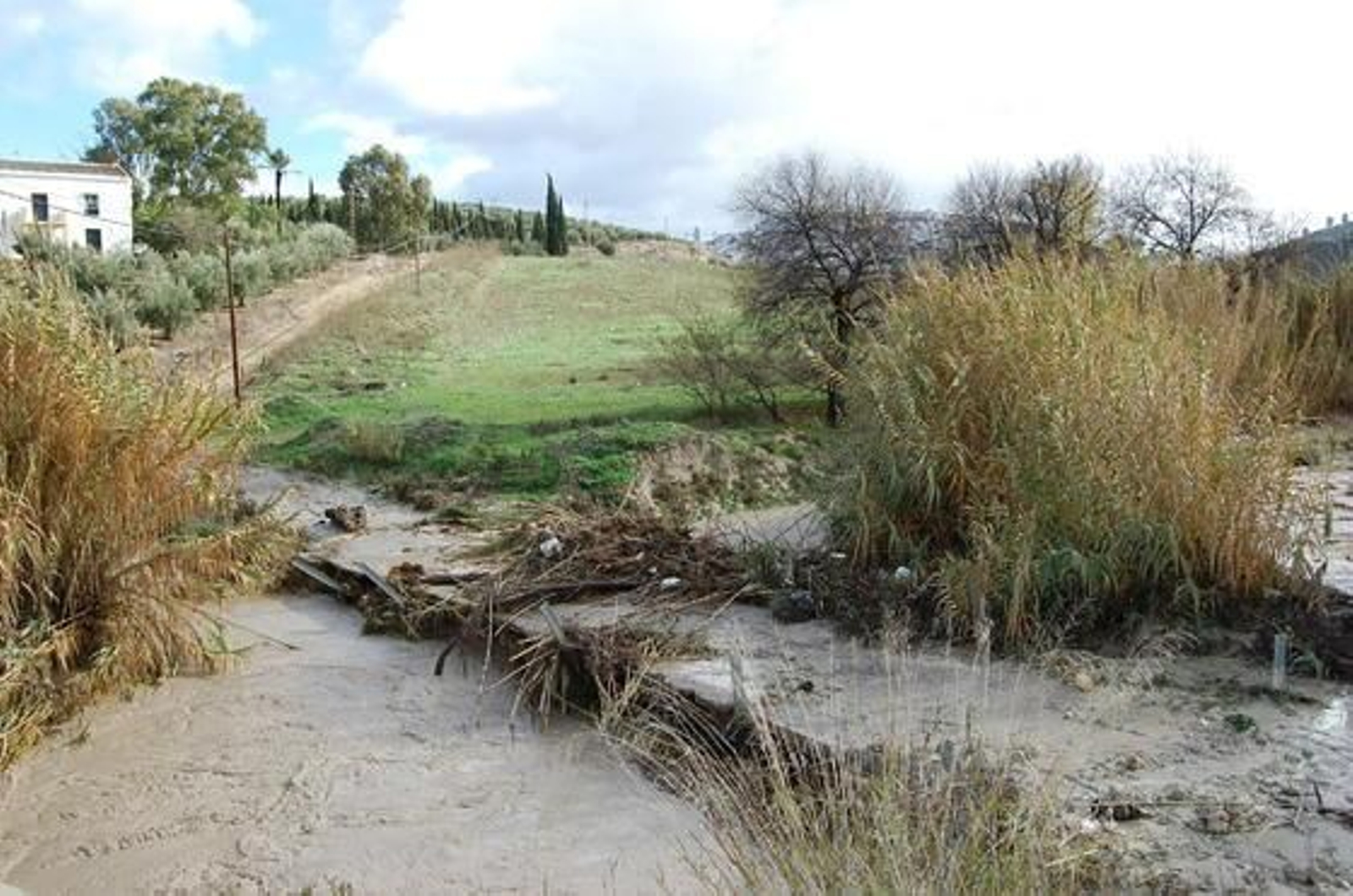Las lluvias inundan las calles de Baena.

Foto: Rafael Salido