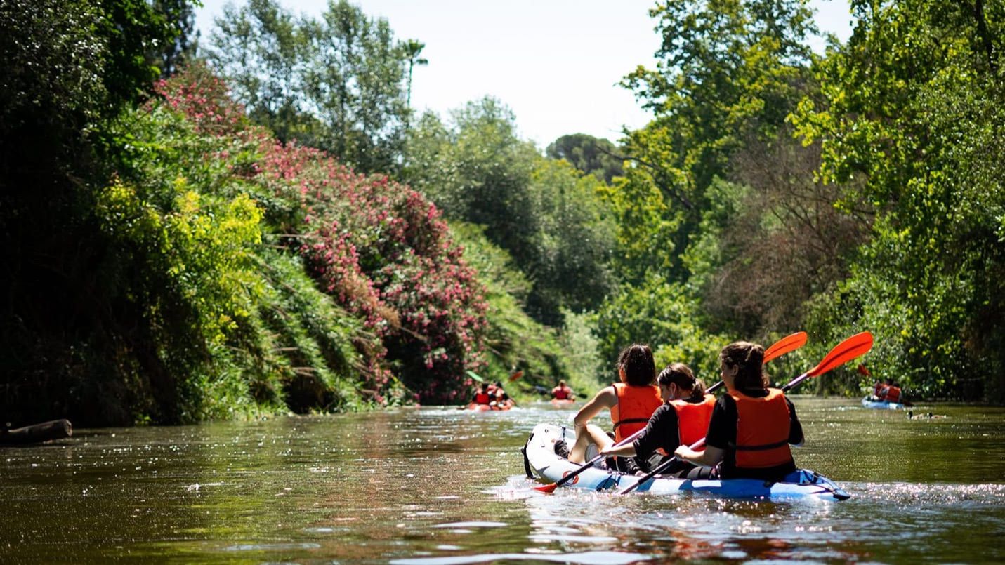 Alcalá de Guadaíra celebra el Día Mundial del Pan con rutas en kayak, visitas y talleres en octubre: Programación completa