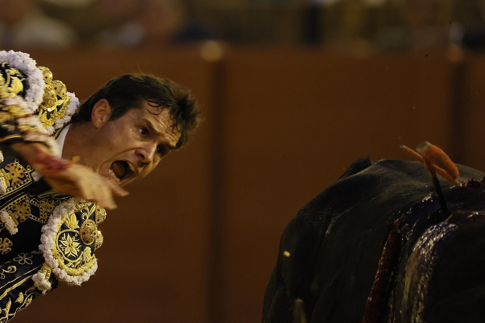 Las imágenes del festejo