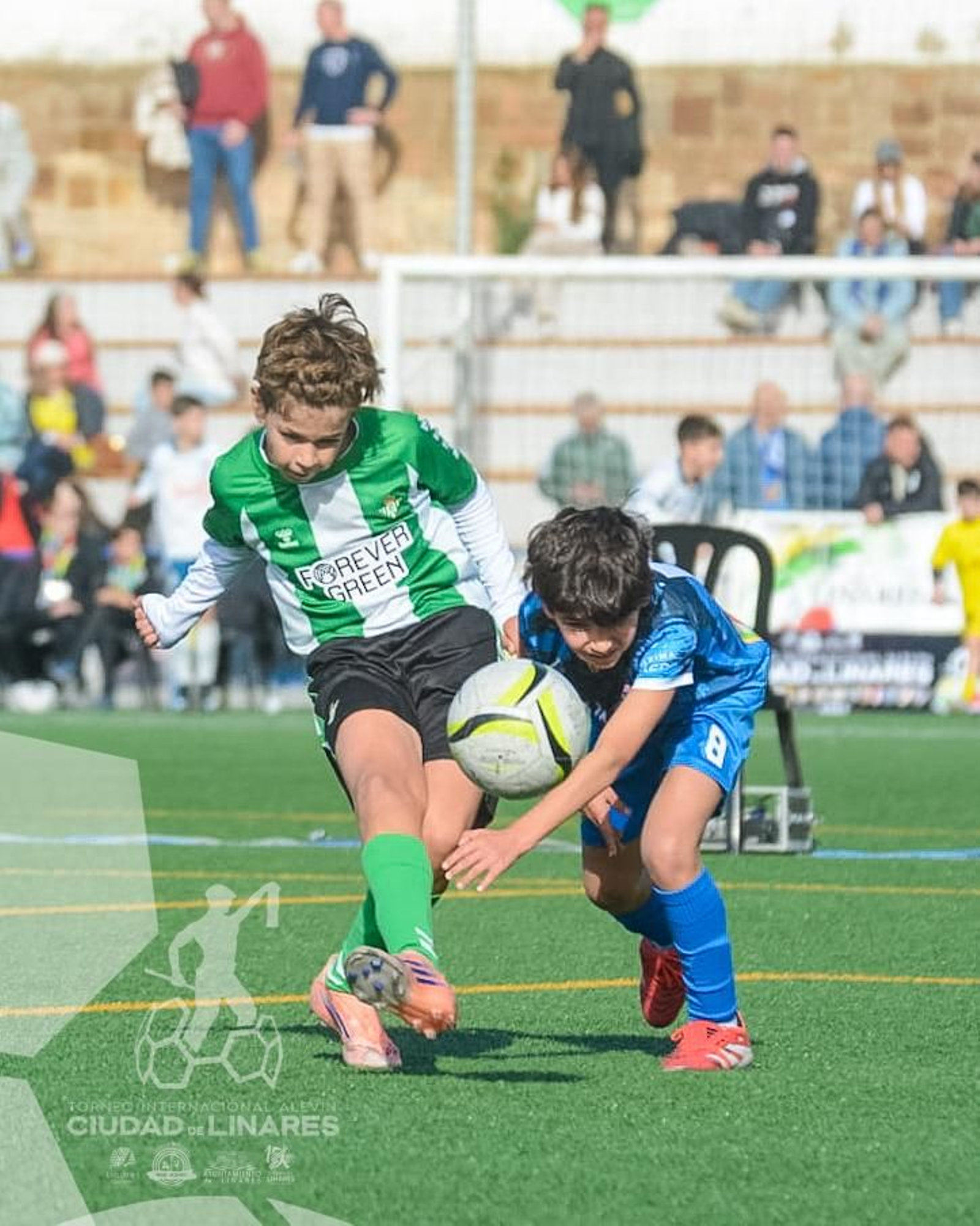 En imágenes: el RCD Espanyol, campeón del IV Torneo Internacional de Fútbol Alevín 'Ciudad de Linares'