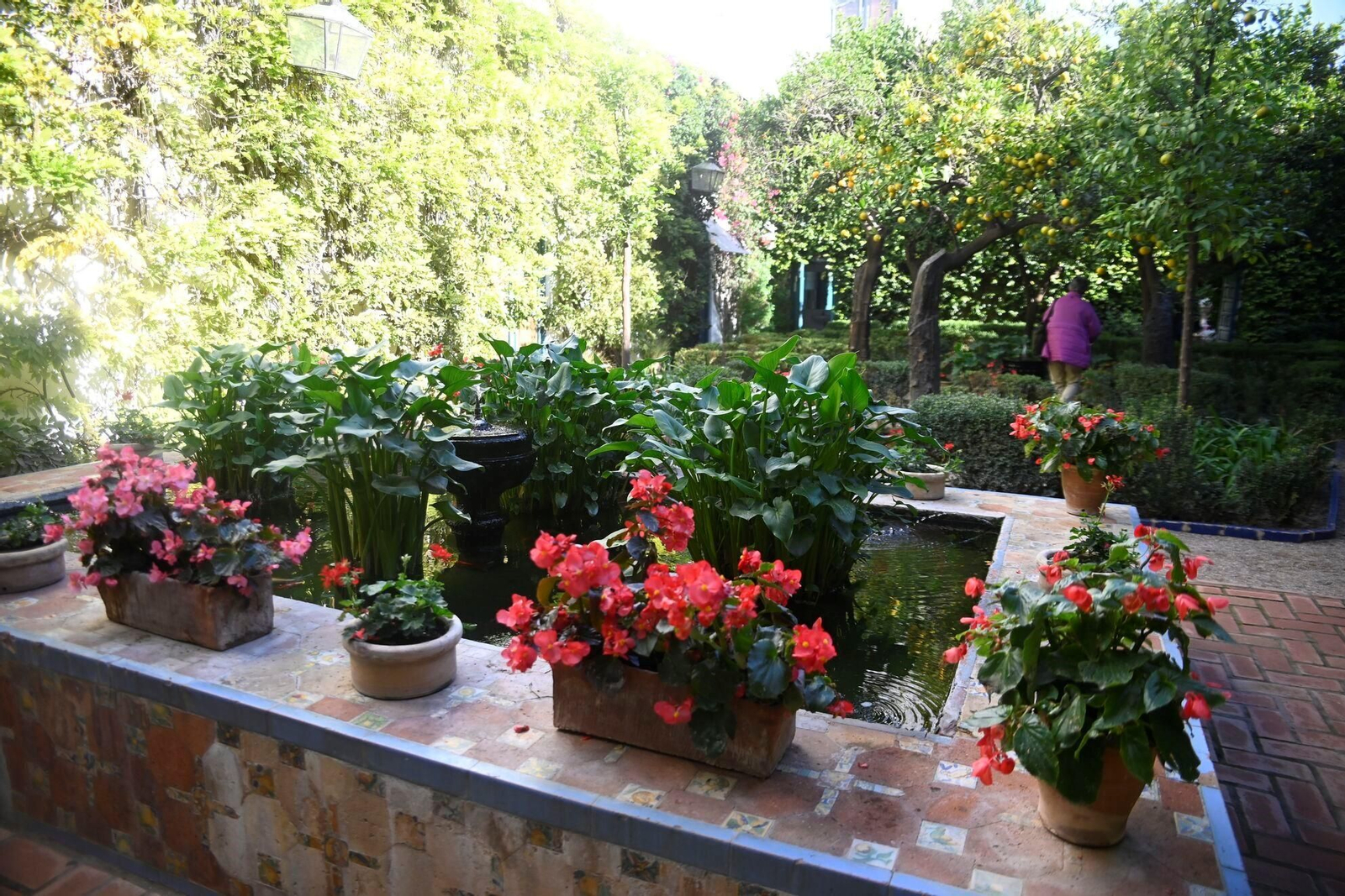 Un recorrido fotográfico por el Palacio de Viana de Córdoba en otoño