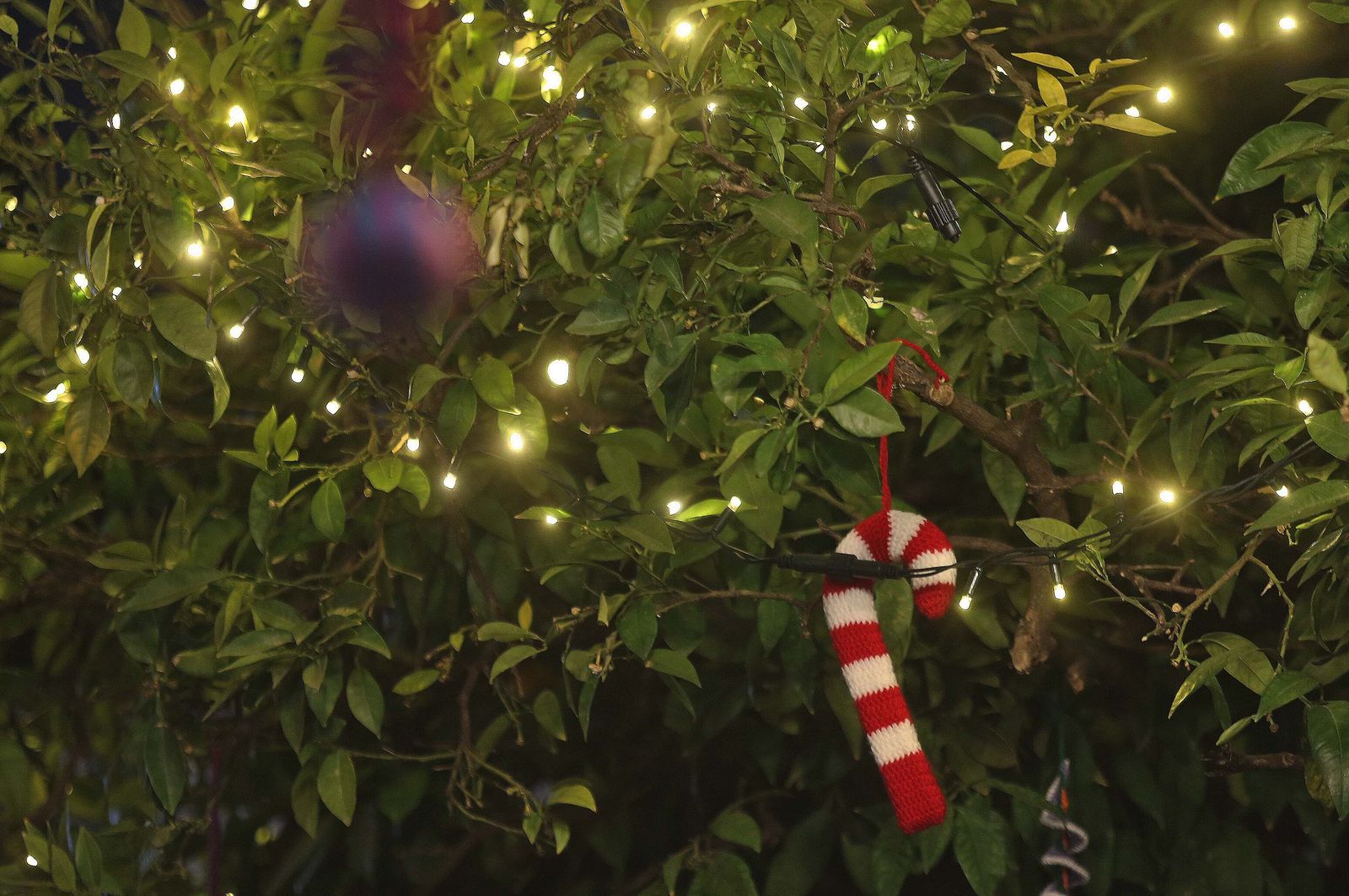 El alumbrado navideño de Los Barrios, en imágenes