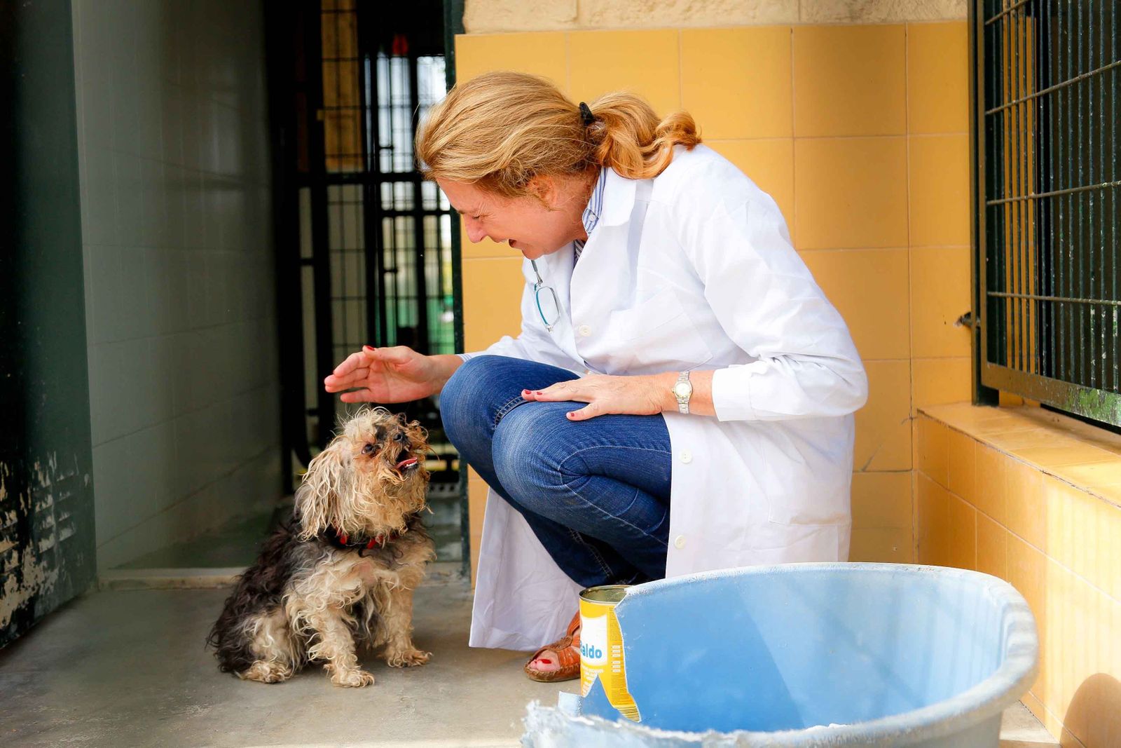 Imagen retrospectiva del Centro de Protección Animal de la ciudad.