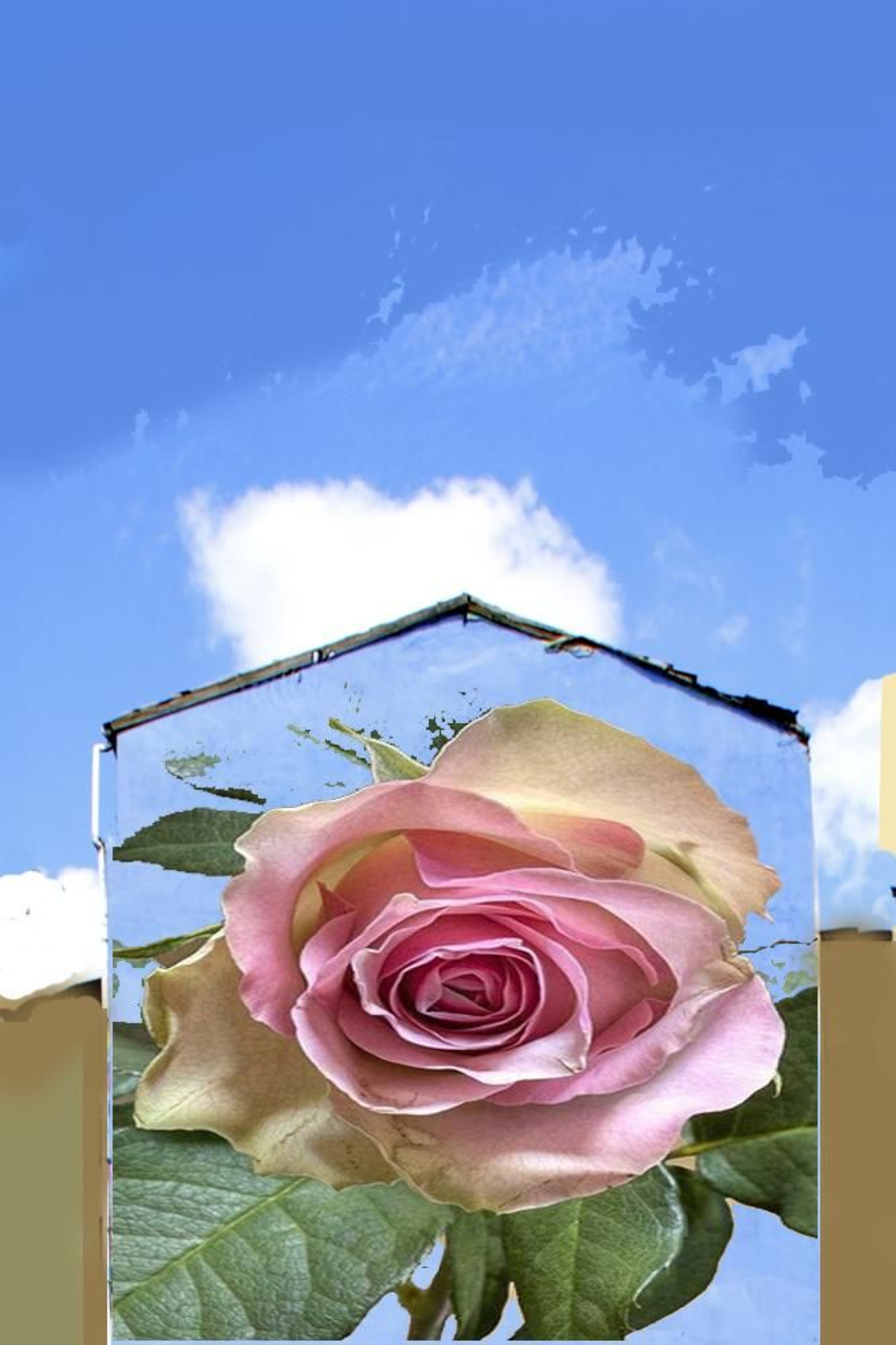 Los jardines con rosas