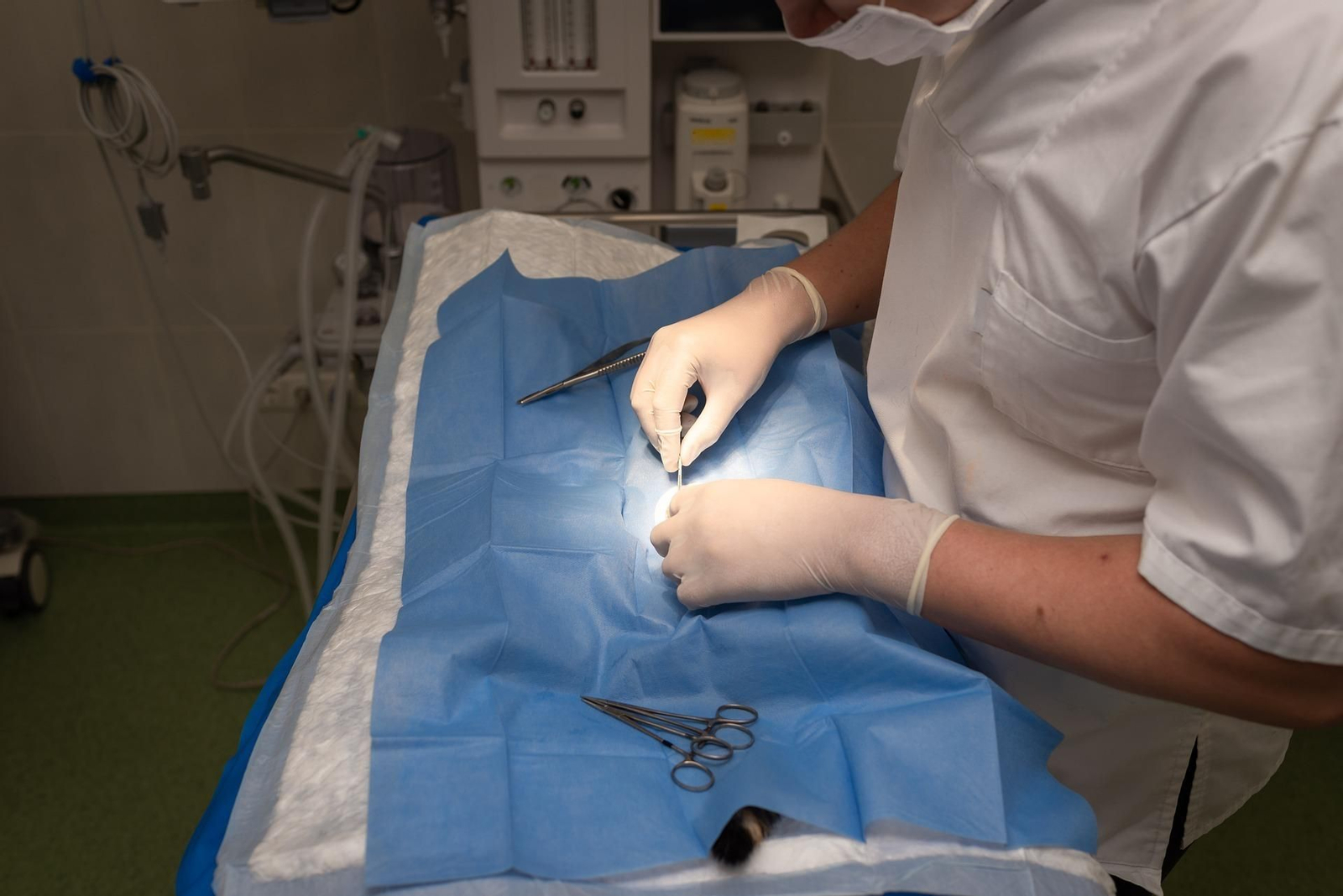 Imagen de archivo de un sanitario preparando sus instrumentos para una operación.