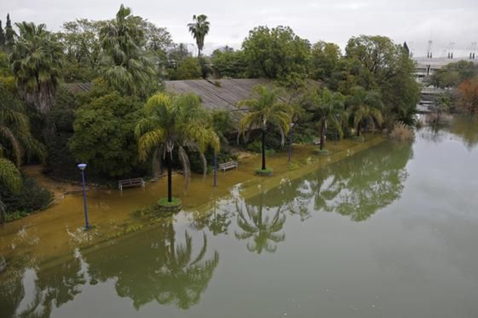 Una zona de La Cartuja inundada.

Foto: Juan Carlos Vázquez
