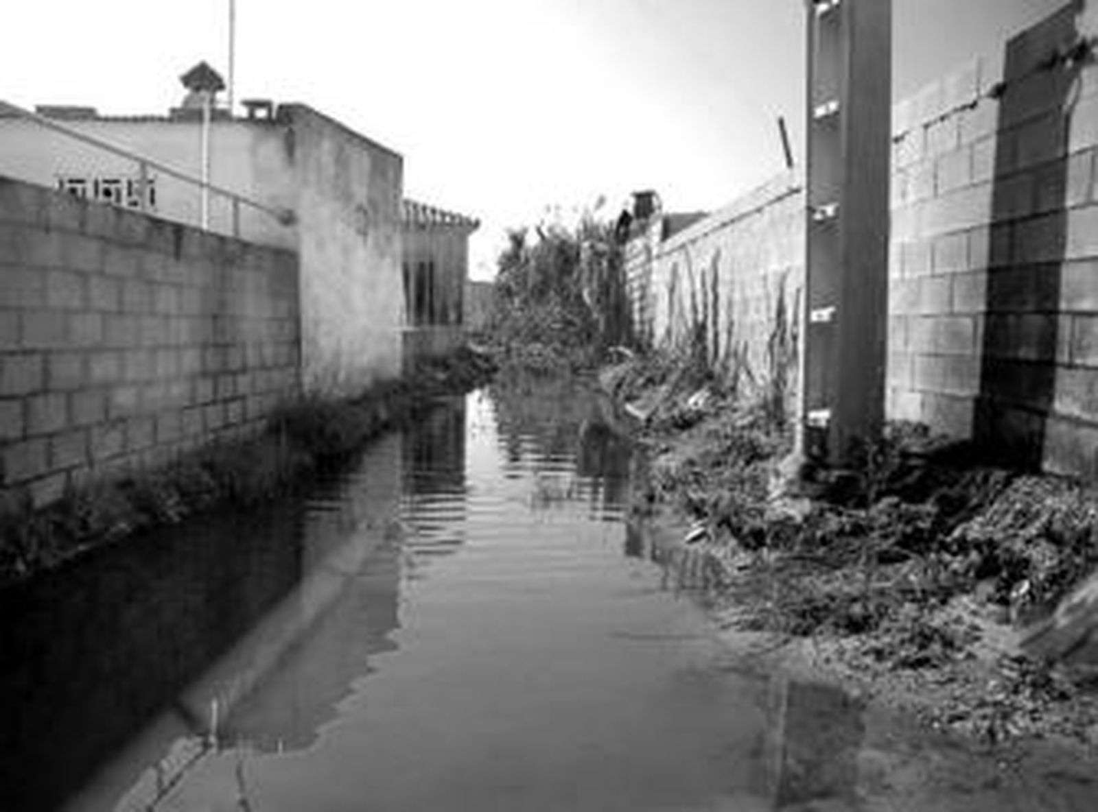 El riachuelo a su paso por una de las calles con residuos fecales.