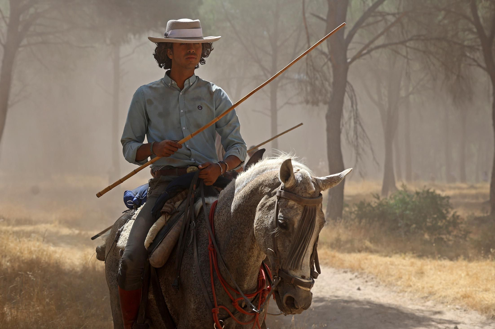 Las mejores imágenes de la Saca de las Yeguas 2025