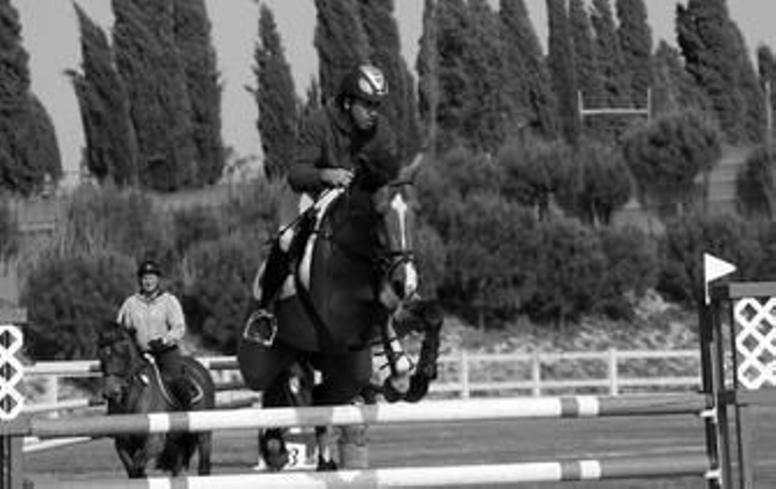 Una imagen del Circuito Hípico del Sol, en la Dehesa Montenmedio.