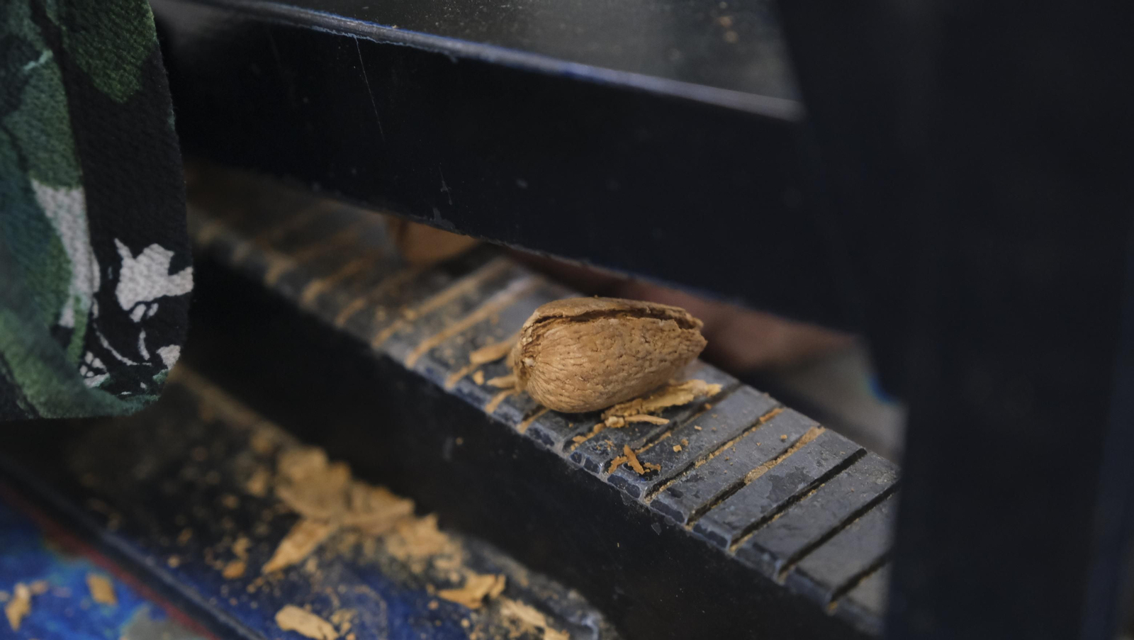 Imágenes de la almendra ecológica de Chirivel