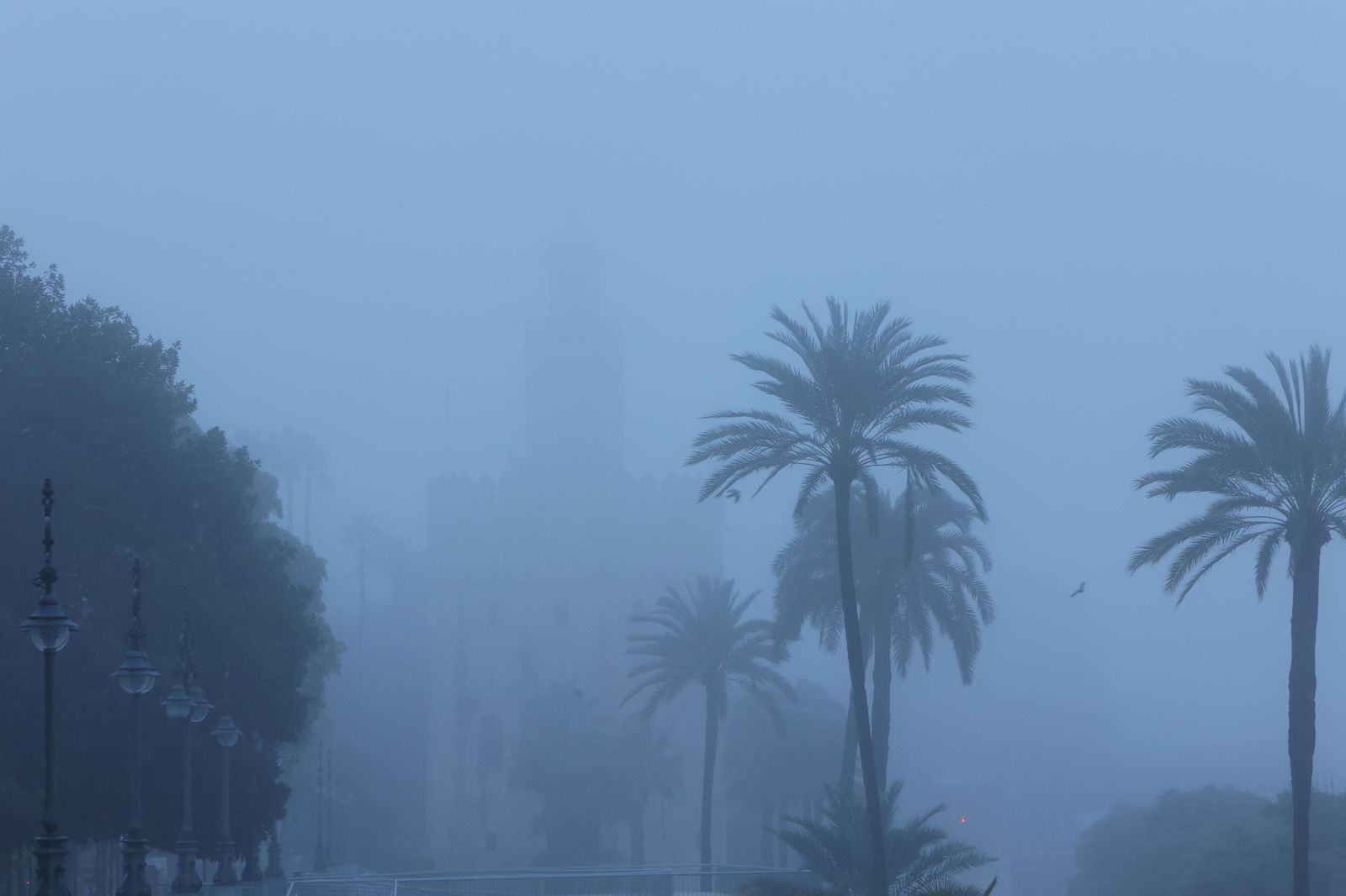 Las imágenes de la niebla en Sevilla