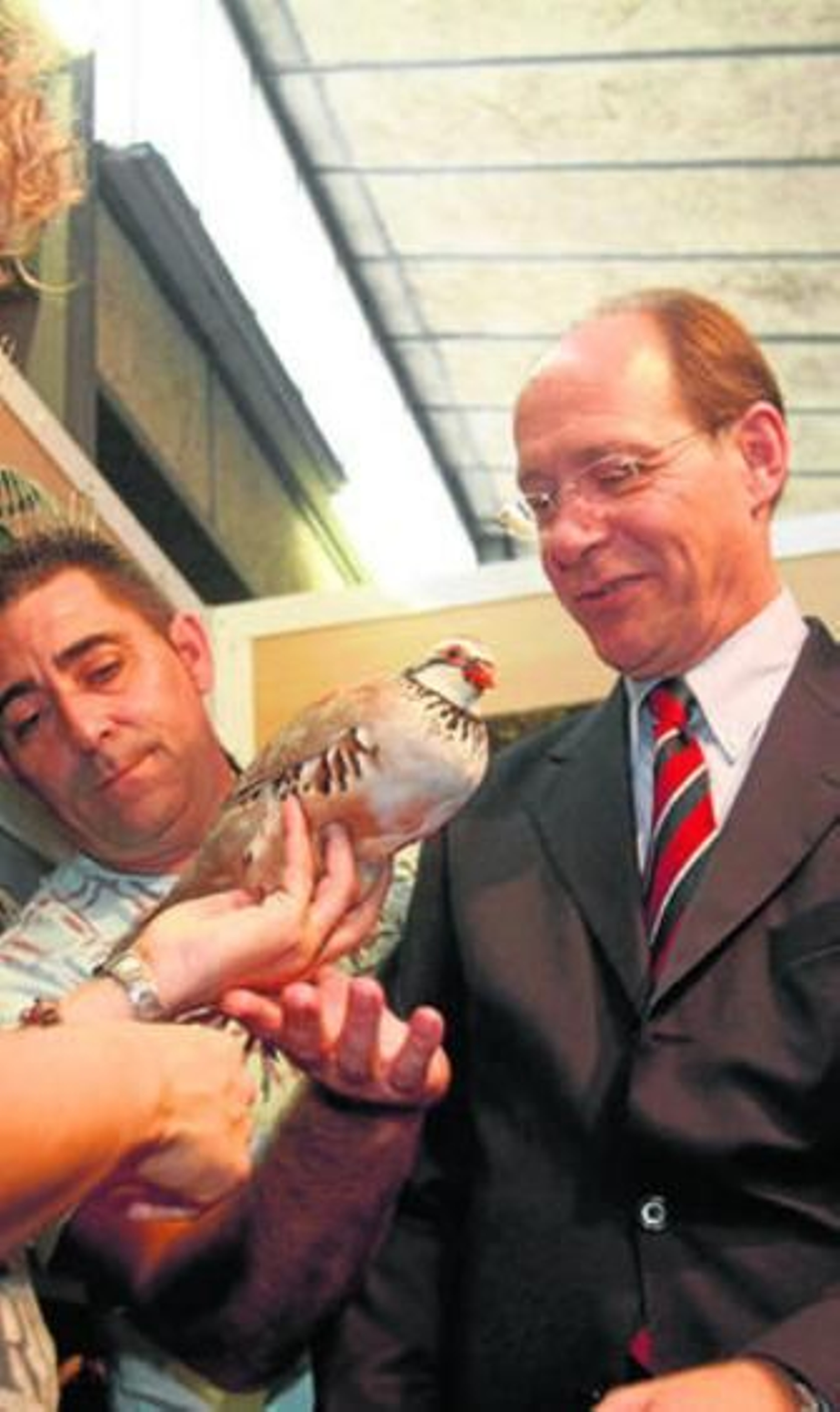 Díaz Trillo ayer en Córdoba.