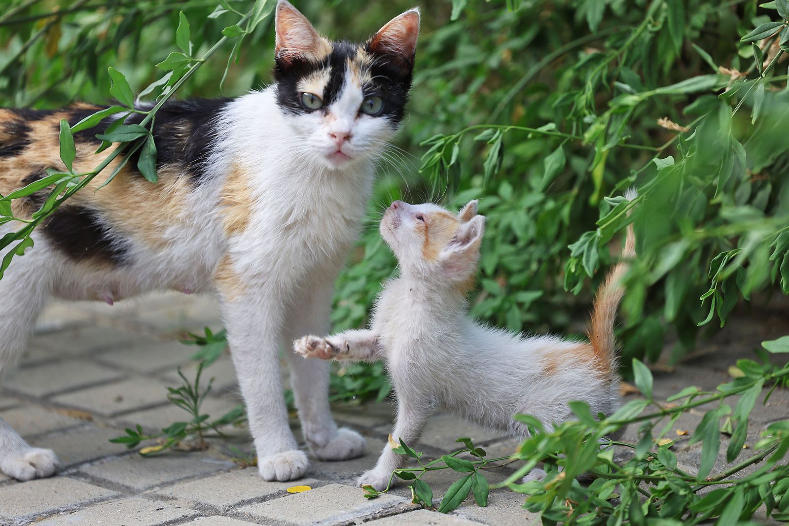 Las imágenes más destacadas del jueves 19 de junio en Huelva
