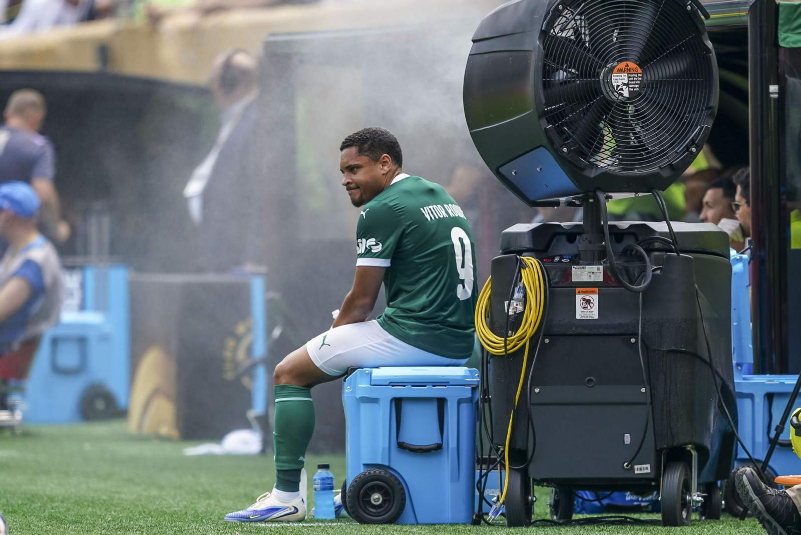 Palmeiras-Botafogo (19).jpg