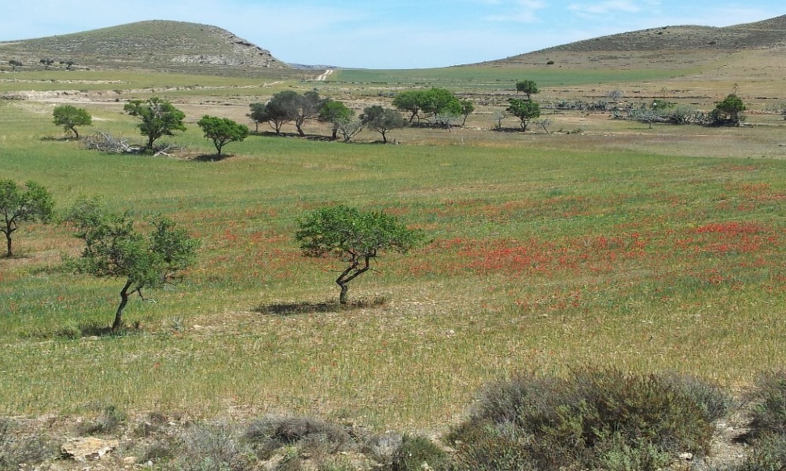 Imagen del Paseo de la Serrata, en el Cabo de Gata.
