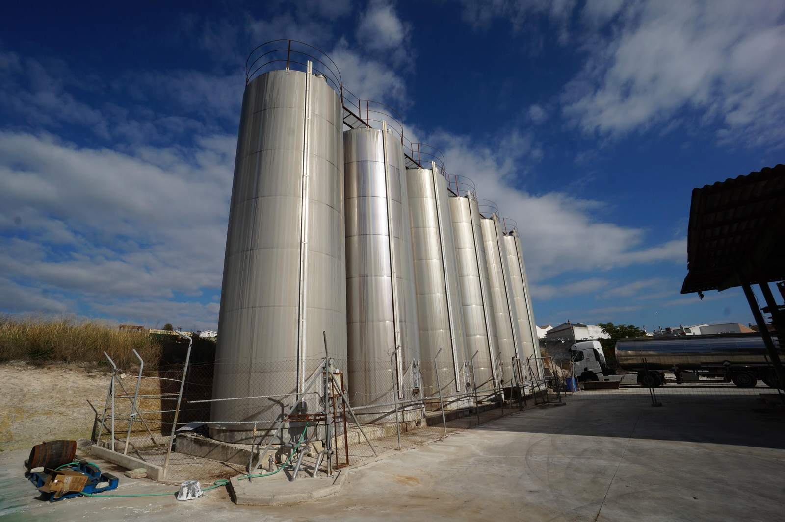 Un recorrido en fotografías por el vino nuevo de Moriles