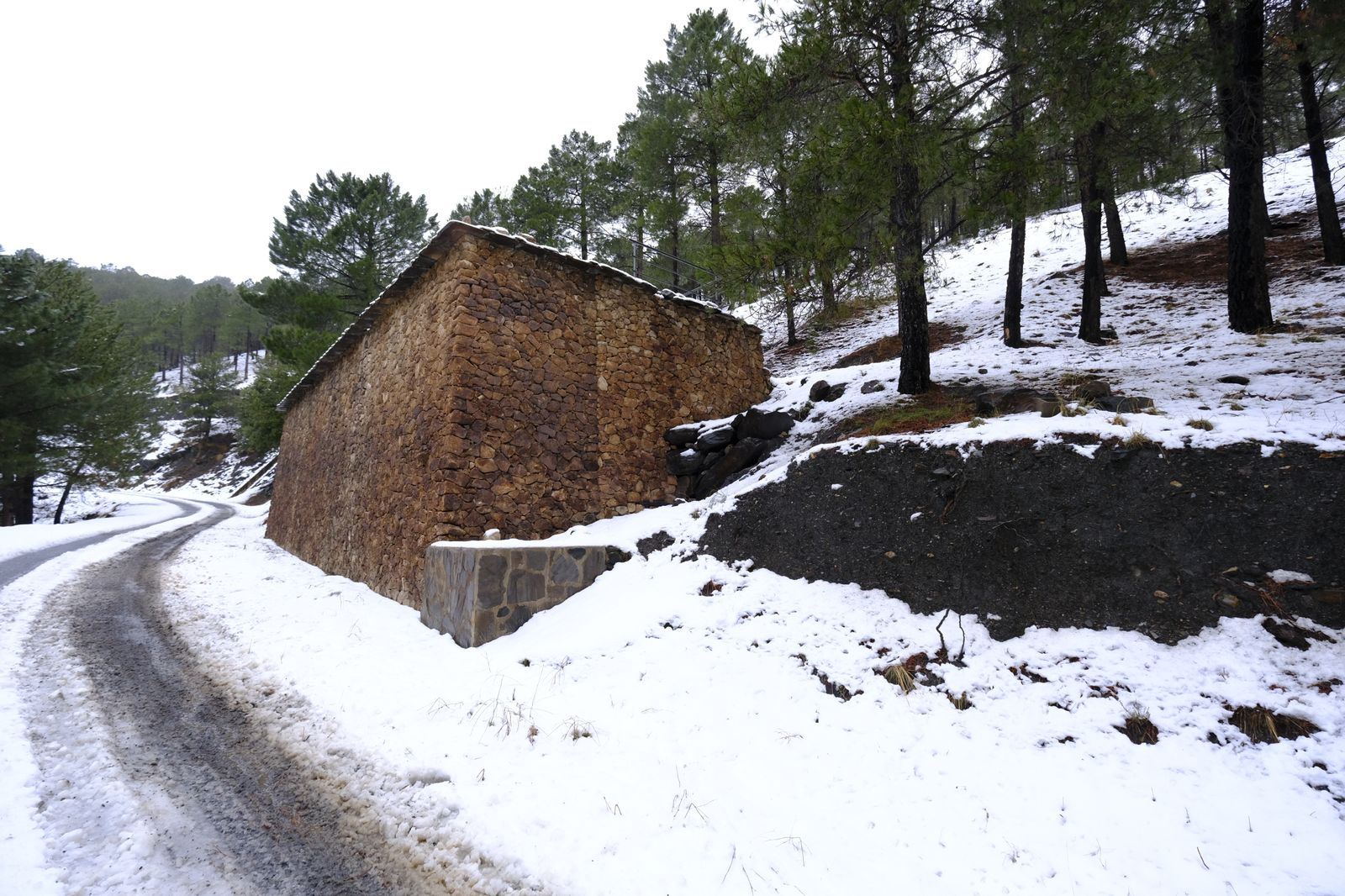 Fotogalería nevada en la Provincia de Almería