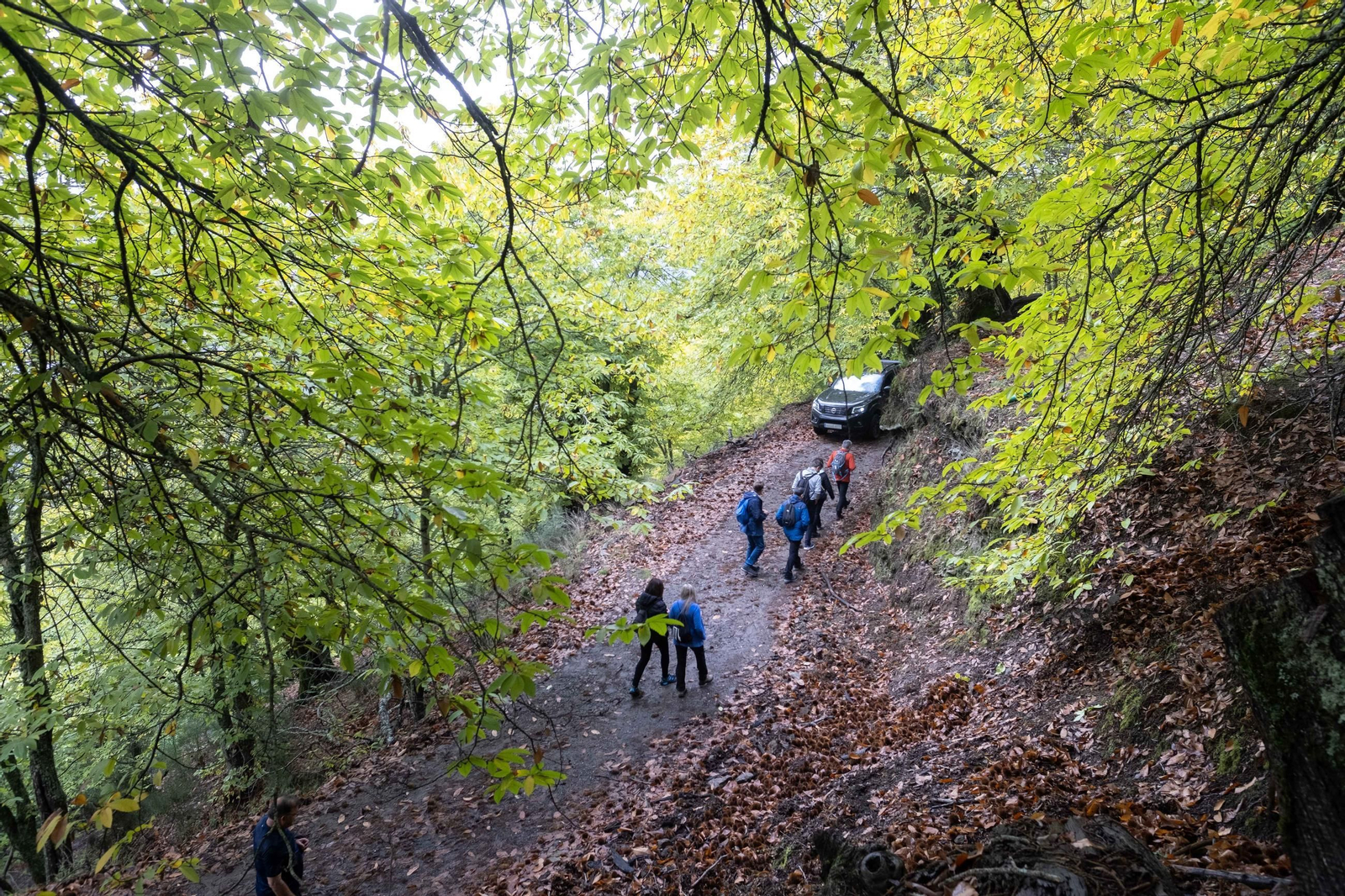 El Bosque de Cobre del Valle del Genal, en fotos