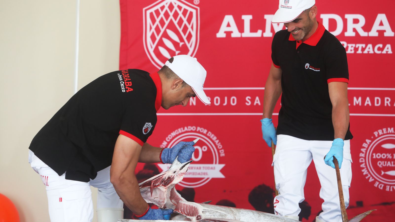 Un momento de un ronqueo de un atún rojo.