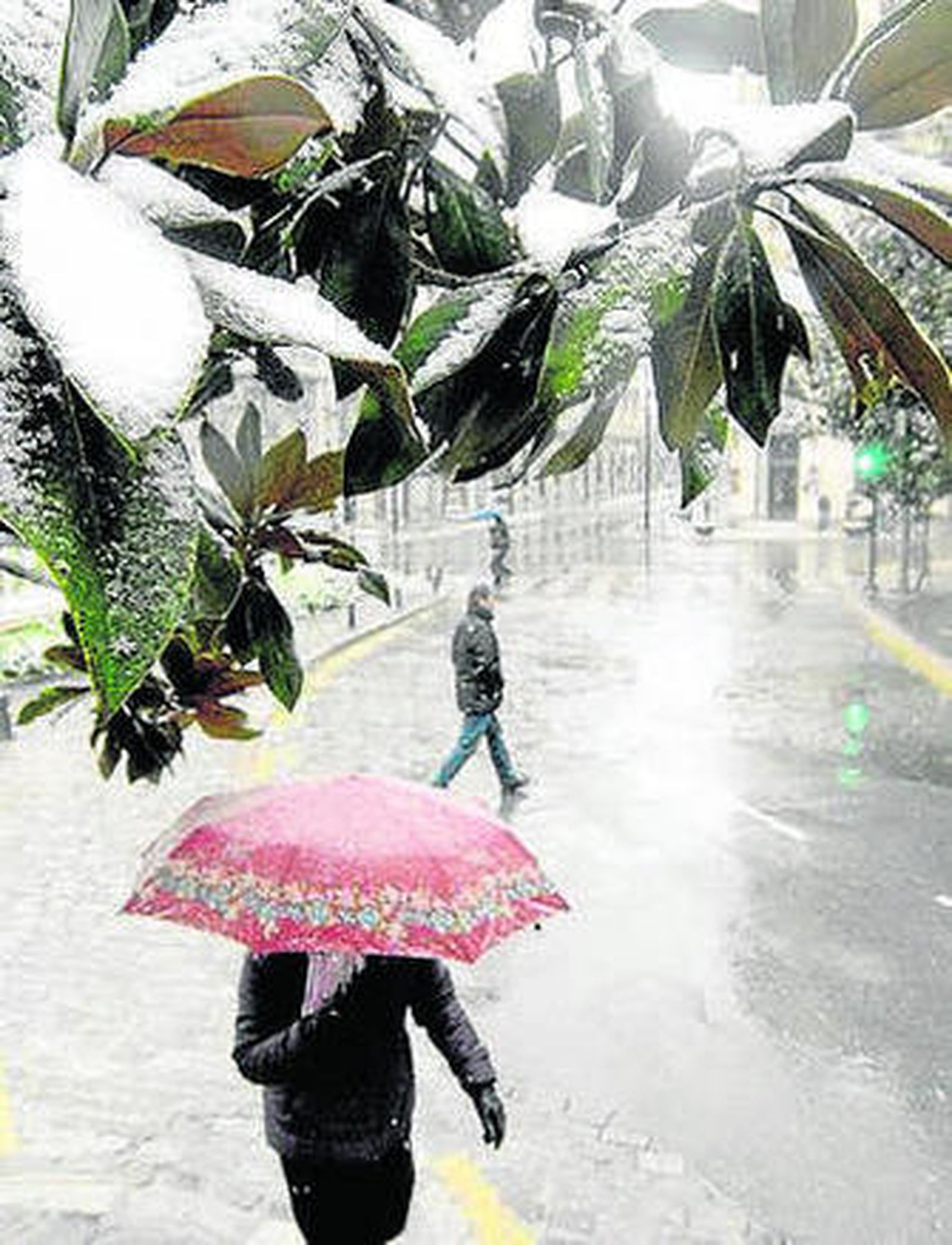 La nieve se dejó ver este año.