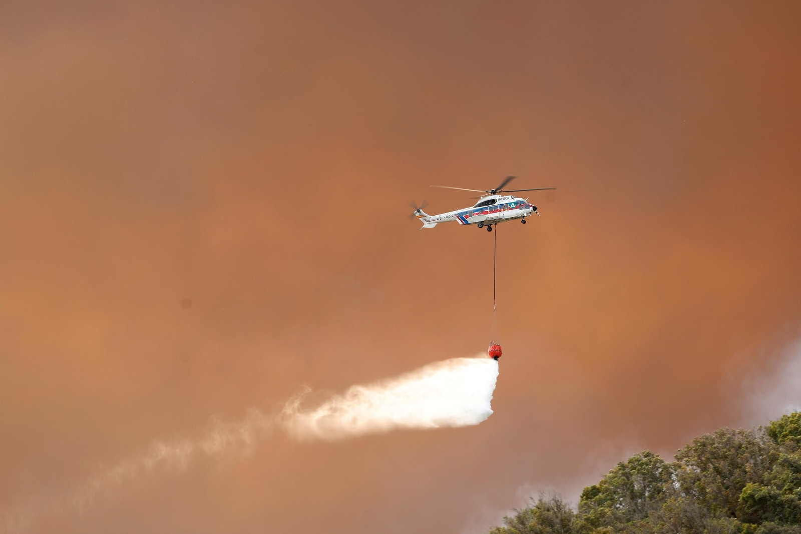 Las imágenes del incendio de Tarifa: más de un centenar de efectivos para controlar las llamas